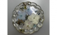 紫陽花の小皿２枚セット