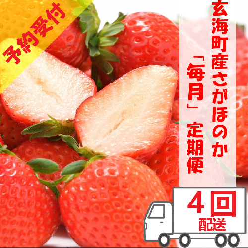 予約受付 玄海町産いちご さがほのか 毎月定期便 Au Pay ふるさと納税