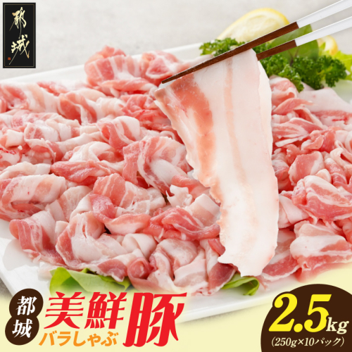 「都城美鮮豚」バラしゃぶ2.5kg(250g×10パック)_AC-5402 46189 - 宮崎県都城市