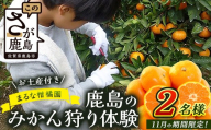 鹿島のみかん狩り体験 お土産付き[2名様]＼11月のみの期間限定!/