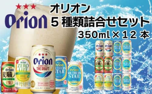 オリオンビール　5種類飲み比べ　詰め合わせセット 463068 - 沖縄県うるま市