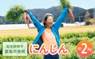 日本を平和にする人参 Peace&Carrots 約2kgセット 人参 約2kg 栽培期間中 農薬不使用 にんじん ニンジン 野菜 カロテン 食物繊維 栽培期間中農薬不使用