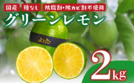【早期予約】種無し よさ恋グリーンレモン 12個入