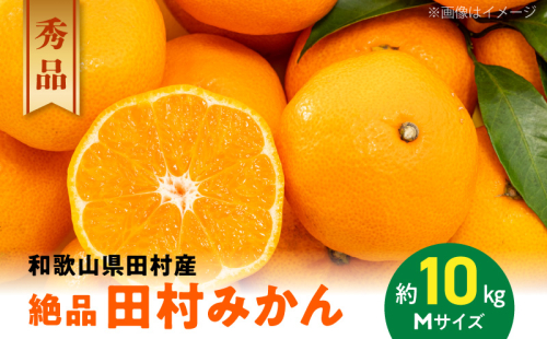 AB7069_【和歌山特産品】【プレミアムブランド】絶品！ 田村みかん 秀品 Mサイズ 10kg 463491 - 和歌山県湯浅町