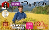 【令和5年産】【6ヶ月定期便】越前大野産 一等米 帰山農園の「つきあかり」5kg 玄米