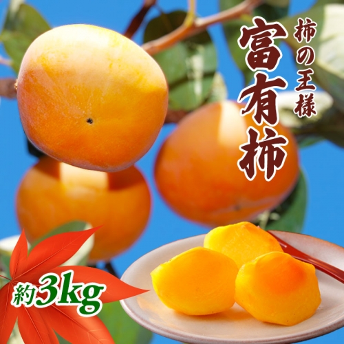 柿の王様 富有柿 3kg 463826 - 香川県綾川町
