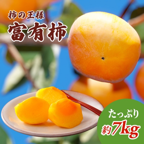 柿の王様 富有柿 たっぷり7kg 463827 - 香川県綾川町