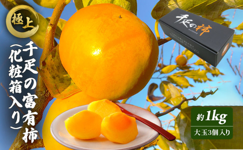 極上！ 千疋の富有柿(化粧箱入り) 果物類  463828 - 香川県綾川町