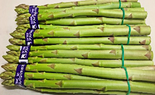 香川県オリジナルアスパラガス「さぬきのめざめ」春芽　約500g 野菜  463833 - 香川県綾川町