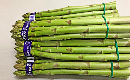 香川県オリジナルアスパラガス「さぬきのめざめ」春芽　約1kg 野菜  463834 - 香川県綾川町
