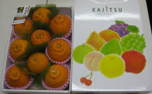 ハウスデコポン（しらぬひ）化粧箱（約2kg）_デコポン 果物類 みかん 柑橘類 ミカン 蜜柑 くだもの  463888 - 香川県綾川町