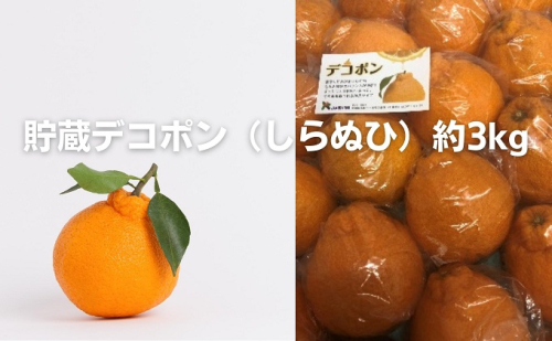 貯蔵デコポン（しらぬひ）約3kg 果物類 みかん 柑橘類 濃厚 香川県産  463935 - 香川県綾川町