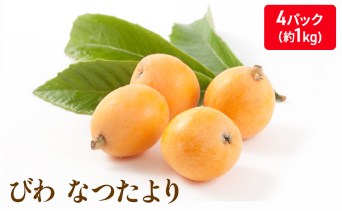 なつたより（びわ）4パック入り(約１Kg) 果物類 フルーツ 枇杷 ビワ  463969 - 香川県綾川町
