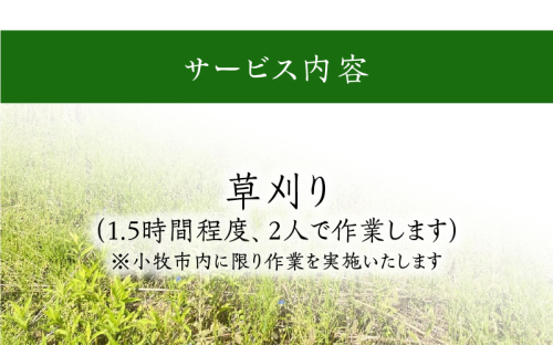 草刈りA[067S05] 464341 - 愛知県小牧市