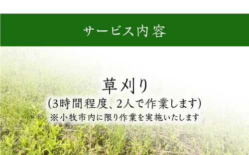 草刈りB[067S06] 464380 - 愛知県小牧市