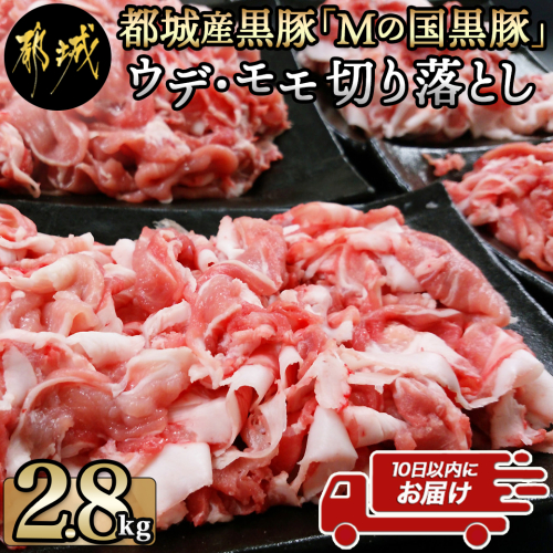 都城産黒豚「Mの国黒豚」切り落とし2.8kg≪みやこんじょ特急便≫_MJ-0108-Q 464456 - 宮崎県都城市