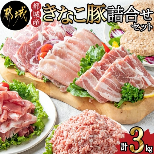 「きなこ豚」詰合せ3kg_MA-1206 46462 - 宮崎県都城市
