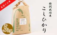 【特別栽培米】≪令和5年産新米≫垂井町産コシヒカリ5kg