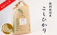 【特別栽培米】≪令和5年産新米≫垂井町産コシヒカリ10kg