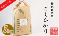 【3か月定期便】【特別栽培米】≪令和5年産新米≫垂井町産コシヒカリ(5kg×3回）
