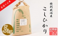 【6か月定期便】【特別栽培米】≪令和5年産新米≫垂井町産コシヒカリ(5kg×6回）