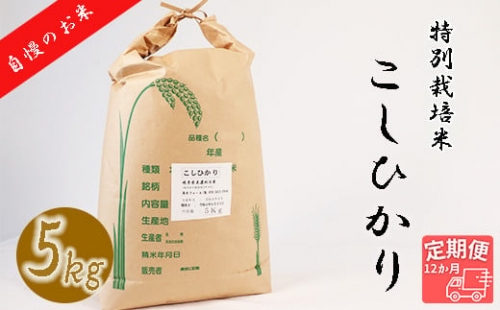 BI-20 【12か月定期便】【特別栽培米】垂井町産コシヒカリ(5kg×12回）