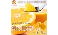 JAにしうわ季節の柑橘(河内晩柑 約7.5kg)[D08-33]