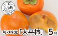 旬の味覚「大平柿」5kg　T06904