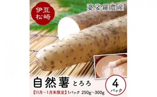 婆娑羅農産 自然薯 カット 4パック 467229 - 静岡県松崎町