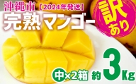 訳あり品【2023年発送】沖縄市　完熟マンゴー（中×2箱）約3kg