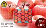 【10月上旬発送開始】りんご「昂林」贈答用 5kg（16～18玉）【さとう果樹園】