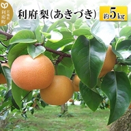 【数量限定】利府梨 (あきづき) 約5kg ブランド 和梨 ナシ  果物 フルーツ