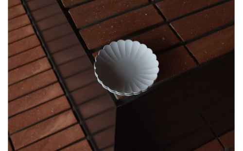 1616/ TY Palace Plate 110 2枚セット 有田焼 器 食器 皿 プレート A11-98 467603 - 佐賀県有田町