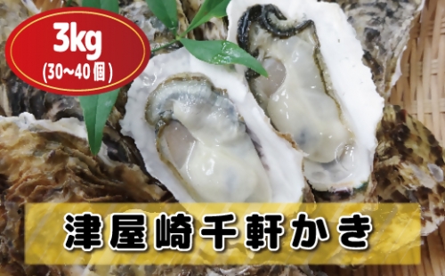 【2025年1～2月出荷】津屋崎千軒かき約3kg（30～40個）【加熱用】[F4113] 467808 - 福岡県福津市