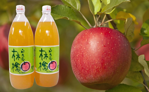 樹上完熟奥久慈りんご10kg&りんご無添加100%ストレートジュース2本 467979 - 茨城県大子町