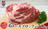 沖縄県産豚肉　肩ロースブロック　約1.8kg