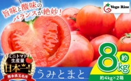 DN2-3 ＜３月～５月発送予定＞玉名市産トマト「うみとまと」 8kg（4kg×2箱）