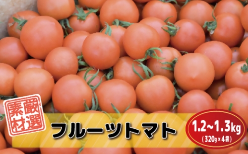 福津が誇る”冬野菜”ジューシーで甘い「久保田農園のフルーツトマト」×4袋[F0074] 468032 - 福岡県福津市