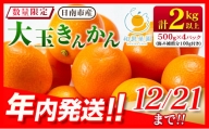 A64-21 ≪数量限定≫大玉きんかん(計2kg以上)傷み補償分100g付き　フルーツ　果物　柑橘　金柑　国産