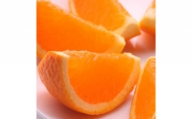 ＜2月より発送＞家庭用きよみオレンジ3.5kg+105g（傷み補償分）【光センサー食頃出荷】【樹上完熟清見オレンジ・清見タンゴール・清美】【わけあり・訳あり】