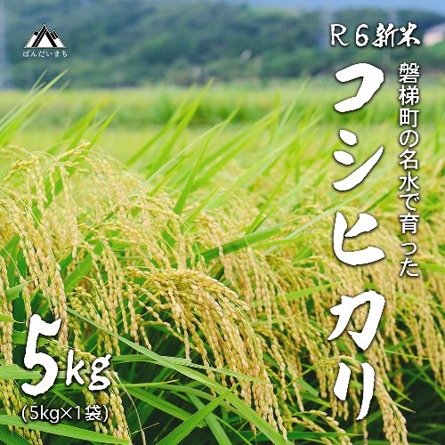 【予約受付】【令和6年産米】コシヒカリ5kg　磐梯町の名水で育ったコシヒカリ 468397 - 福島県磐梯町