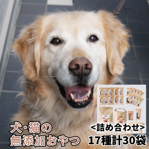 O21　宍粟鹿肉100%　犬・猫の無添加おやつとドッグフード（詰め合わせ） 468429 - 兵庫県宍粟市