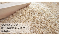 安定の美味しさ　鉾田市産コシヒカリ　玄米5kg