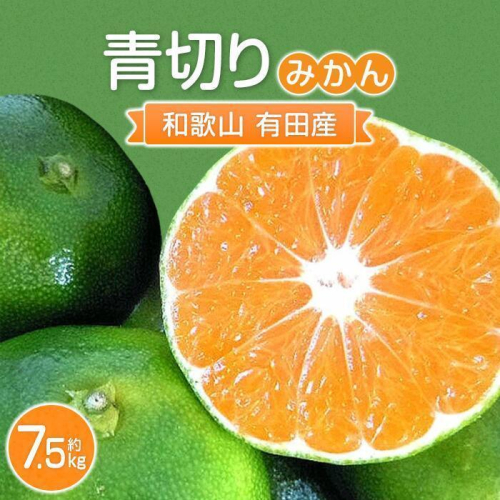 こだわりの 青切りみかん　約7.5kg【2024年9月下旬より順次発送】 468601 - 和歌山県那智勝浦町