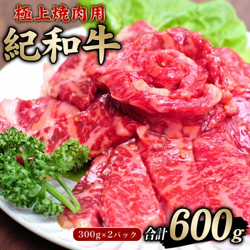 極上紀和牛タレ仕込味付焼肉 300g×2パック 合計600g【冷凍】【tnk205】 468706 - 和歌山県新宮市