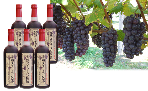 津軽鶴田町産　完熟スチューベン原液720ml×6本 果物 ぶどう フルーツ 果実飲料 ジュース  468804 - 青森県鶴田町