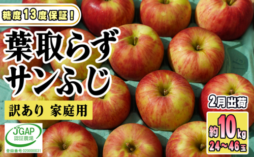 2月発送【糖度保証】家庭用 葉取らず サンふじ 約10kg【訳あり】【鶴翔りんごGAP部会 青森県産 津軽産 リンゴ 林檎】 468852 - 青森県鶴田町