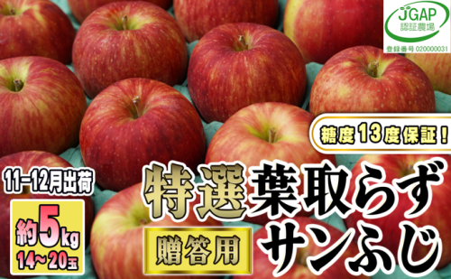 11～12月発送【糖度保証】贈答用 葉取らず サンふじ 約5kg 【特選】【鶴翔りんごGAP部会 青森県産 津軽産 リンゴ 林檎】 468855 - 青森県鶴田町