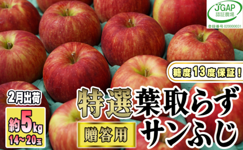 2月発送【糖度保証】贈答用 葉取らず サンふじ 約5kg 【特選】【鶴翔りんごGAP部会 青森県産 津軽産 リンゴ 林檎】 468858 - 青森県鶴田町