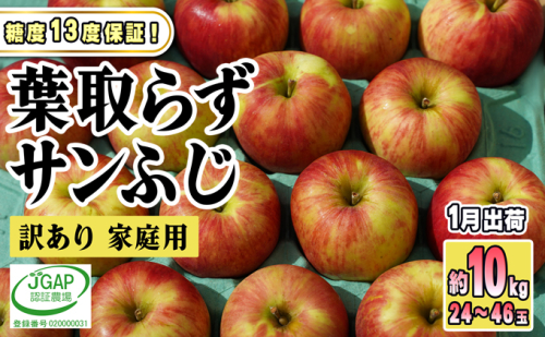 1月発送【糖度保証】家庭用 葉取らず サンふじ 約10kg【訳あり】【鶴翔りんごGAP部会 青森県産 津軽産 リンゴ 林檎】 468859 - 青森県鶴田町